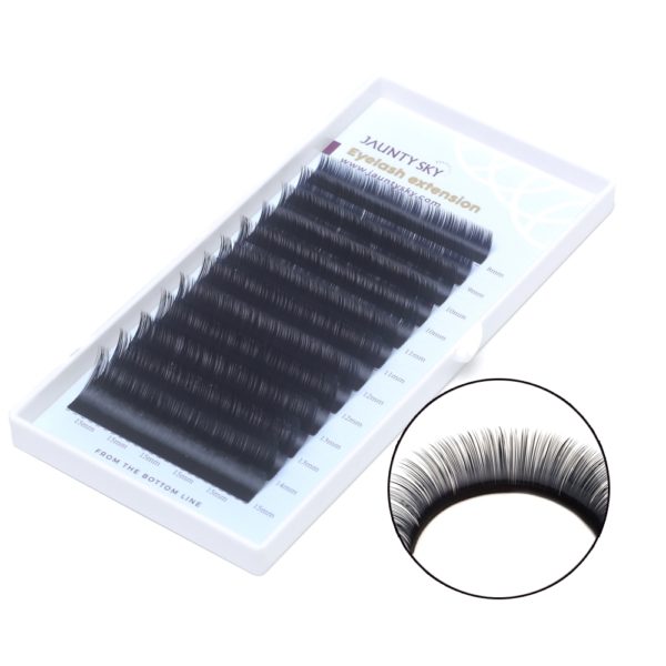 lash extension